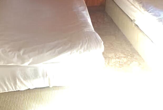 Dikili Papaya Evleri - Görsel 8