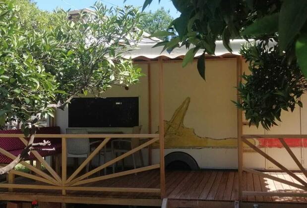 Kara Kedi Beach Bungalow - Görsel 4