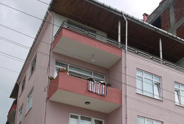 Parpali Apart  - Görsel 4