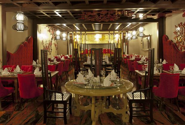 Delphin İmperial Lara - Görsel 14