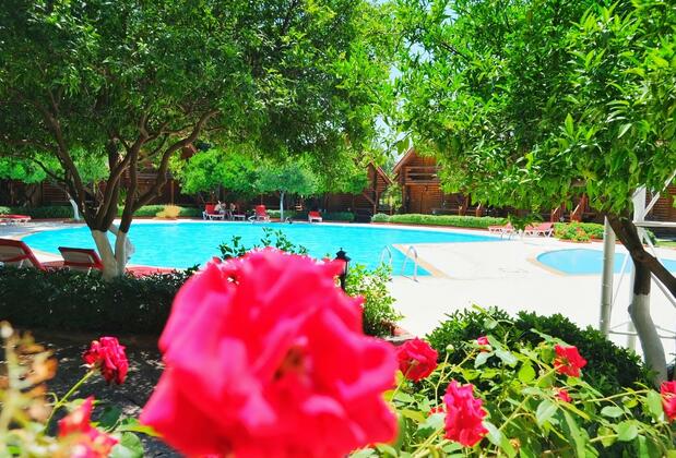 Woodline Hotel - Görsel 10