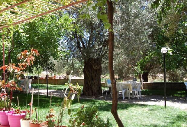 Otel Selina - Görsel 2