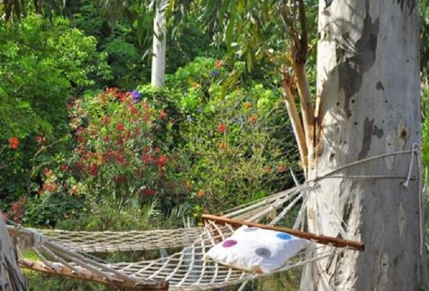 Hobbit Evi - Görsel 5