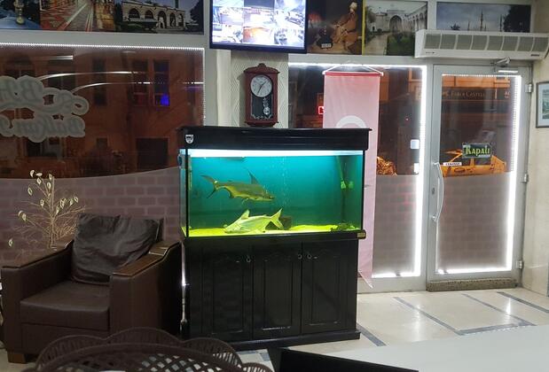 Balkan Hotel - Görsel 7