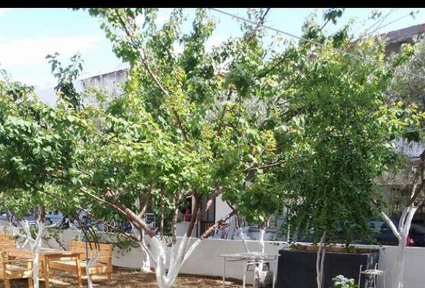 Ömer Deniz Motel - Görsel 4