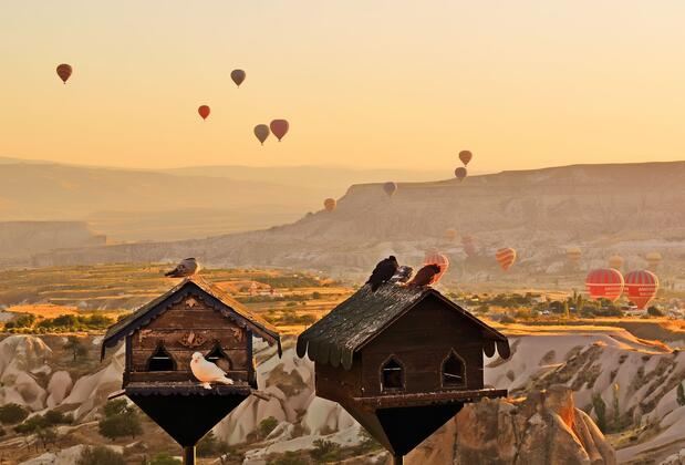 Museum Hotel - Görsel 9