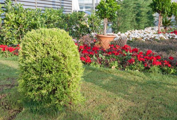 Graf Victor Hotel - Görsel 33