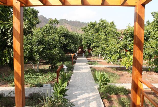 Apella Hotel Çıralı  - Görsel 17