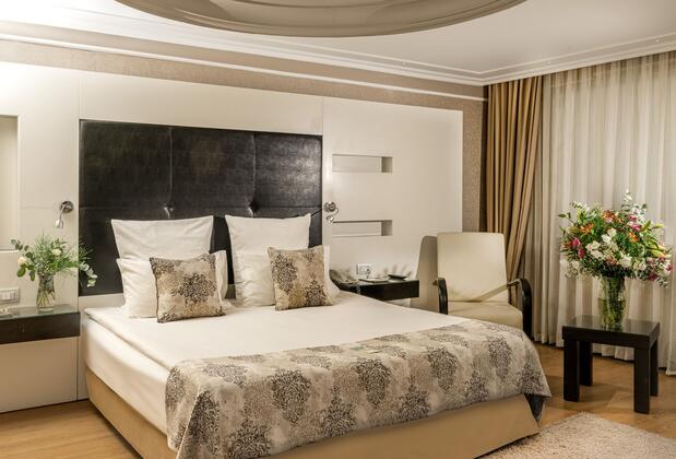 Altınel Ankara Hotel & Convention Center - Görsel 25