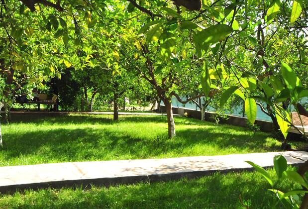 İkiz Pansiyon & Bungalow - Görsel 5