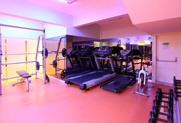 Deluxe Golden Horn Hotel Sultanahmet - Görsel 14