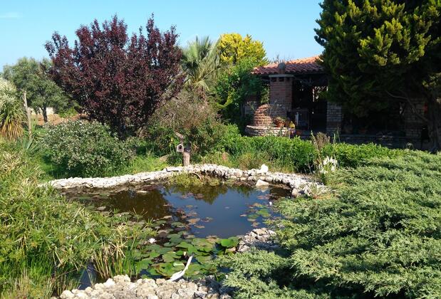 Anemon Özdemir Bağ Evi - Görsel 5