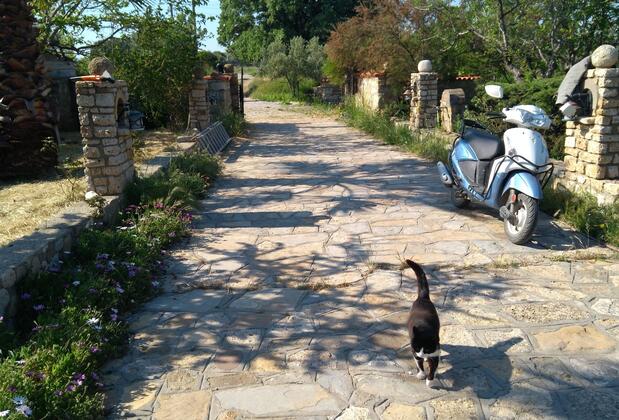 Anemon Özdemir Bağ Evi - Görsel 3