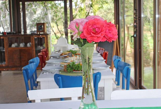 Irmak Bağ Evi - Görsel 6