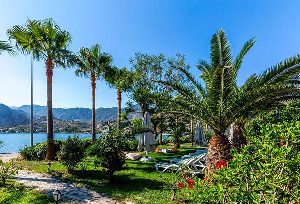 Palmetto Resort Hotel - Görsel 13