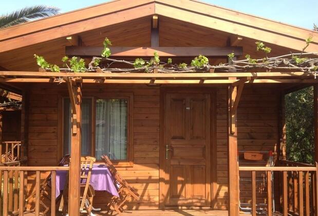 Ataol Beach & Bungalows - Görsel 4