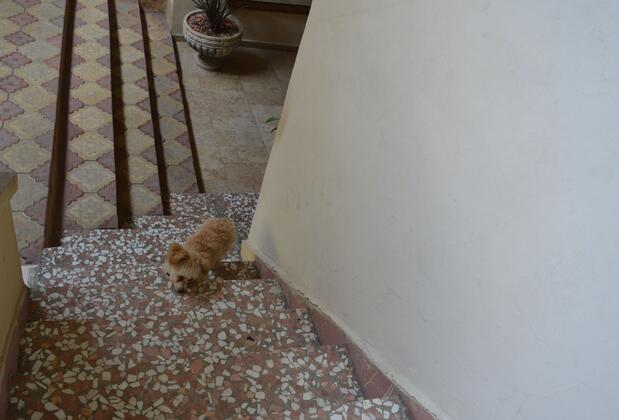 Osmanlı Marco Pasha Butik Hotel - Görsel 13