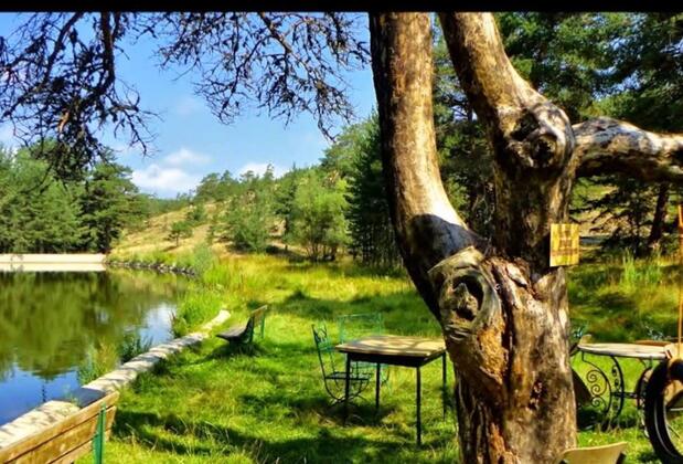 YaylaMoCamp - Görsel 10