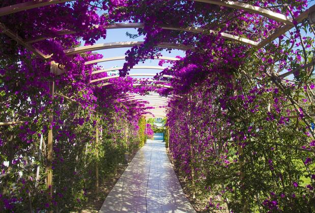 Daima Biz Resort - Görsel 8