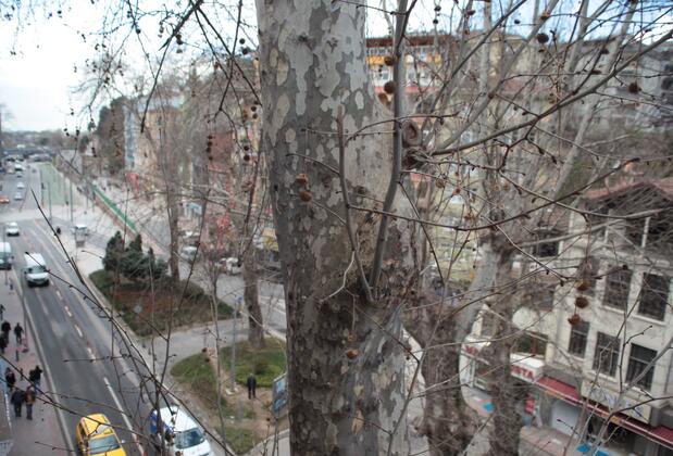 Efebey Otel - Görsel 7