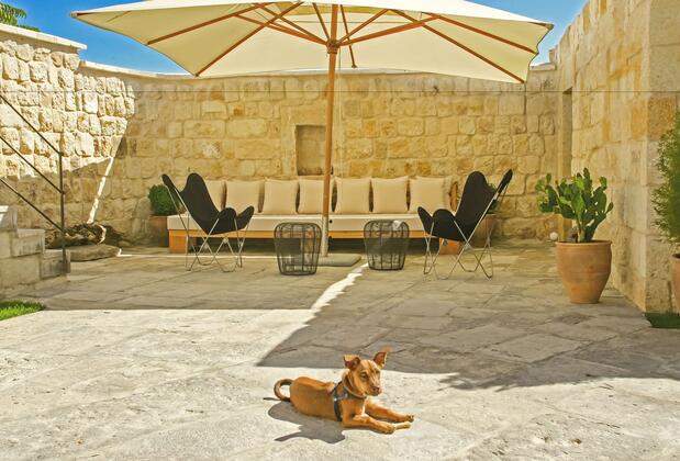 Serinn House - Görsel 4