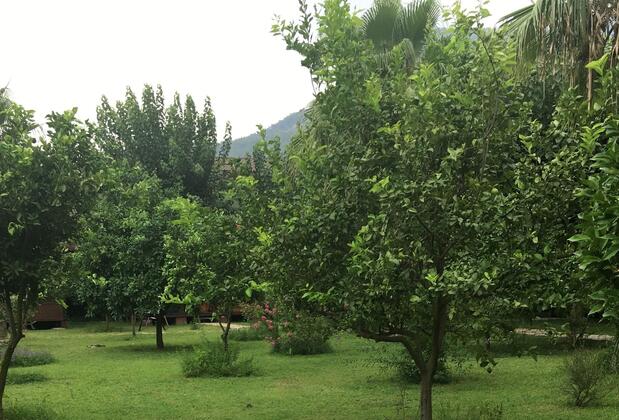 Özge Hotel & Bungalow - Görsel 4