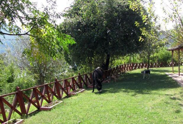 Saklı Göl Evleri - Görsel 17