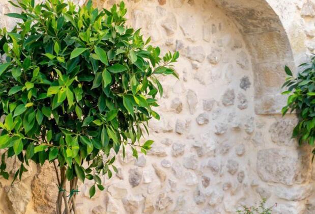 Yeşil Ev Cafe & Boutique Hotel - Görsel 18