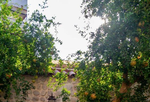 Yeşil Ev Cafe & Boutique Hotel - Görsel 27