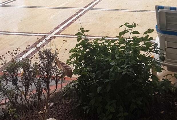 Green Valley Boutique Hotel - Görsel 18