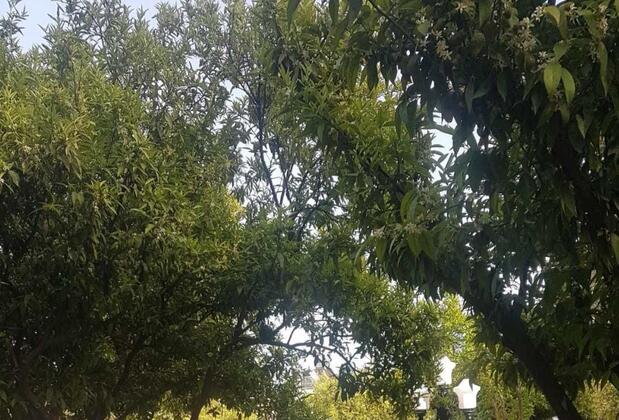 Green Valley Boutique Hotel - Görsel 12