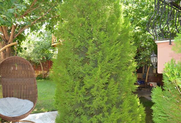 Sinter Terasse House - Görsel 7