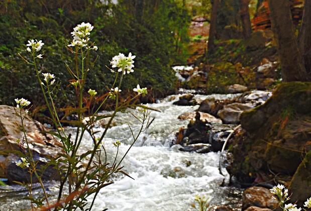 Kadifeli Konak Boutique Hotel - Görsel 3