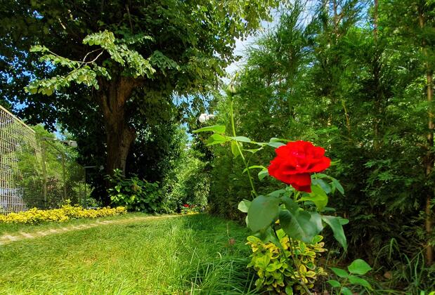 Kadifeli Konak Boutique Hotel - Görsel 11