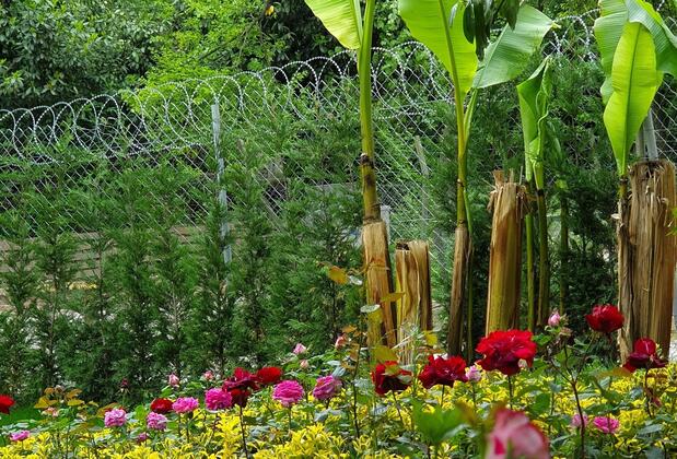 Kadifeli Konak Boutique Hotel - Görsel 21