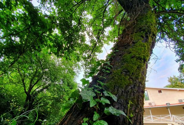 Kadifeli Konak Boutique Hotel - Görsel 7