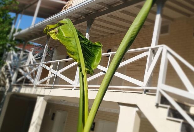 Kadifeli Konak Boutique Hotel - Görsel 15