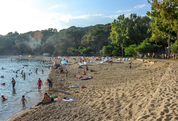 Forest Park Avsallar - Görsel 3