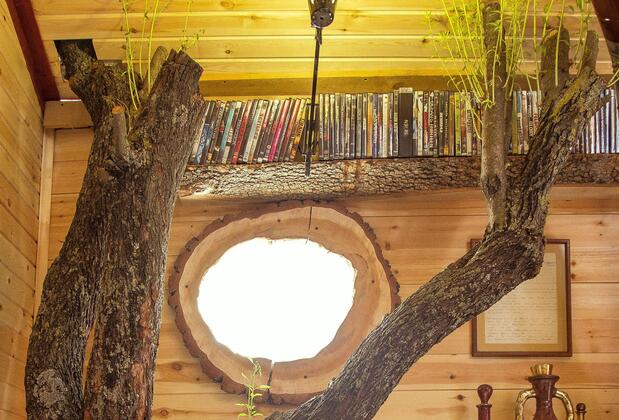 Seles Camping - Görsel 28