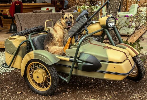 Seles Camping - Görsel 23