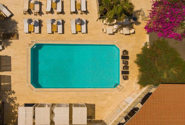 Kaktüs Ada - Görsel 7