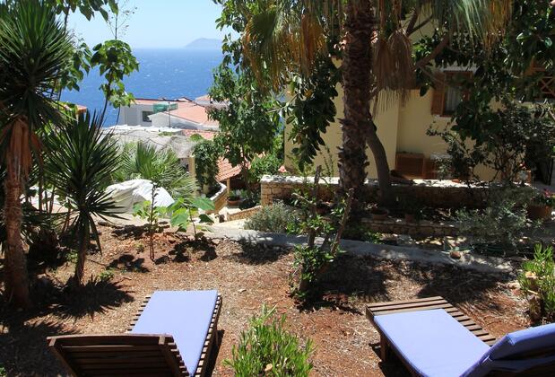 Kaktüs Ada - Görsel 8