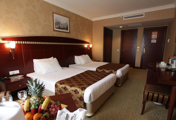 Golden Park Hotel İstanbul - Görsel 11