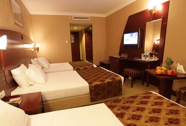 Golden Park Hotel İstanbul - Görsel 14