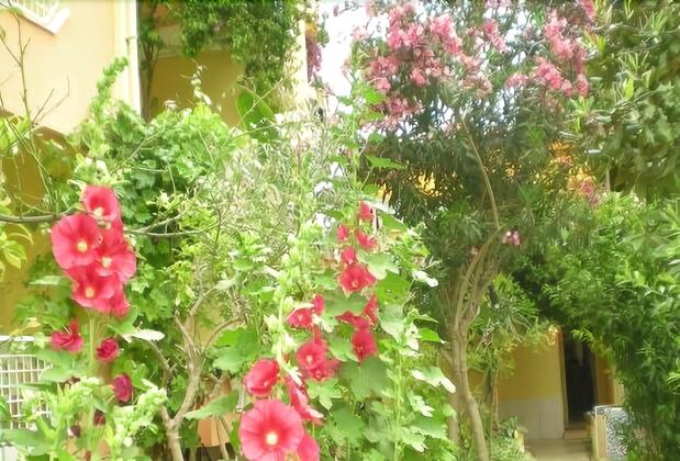 Hotel Marin - Görsel 9