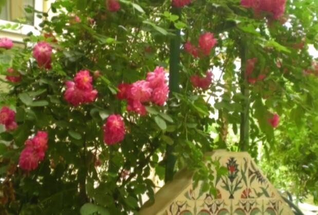 Hotel Marin - Görsel 10