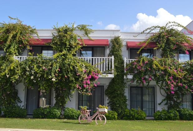 Villa Rustica Hotel - Görsel 3