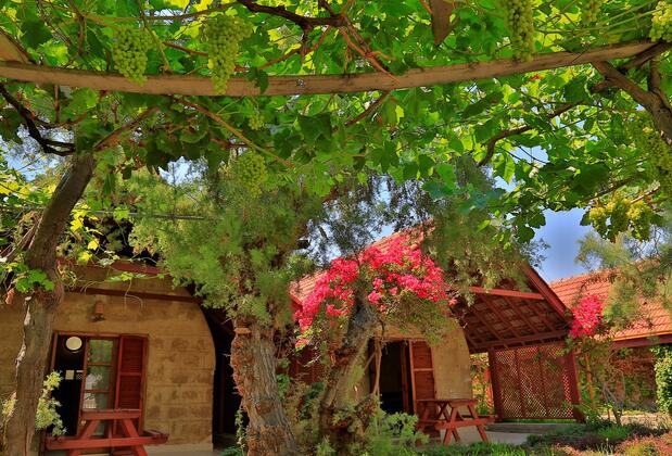 Riviera Beach Bungalows - Görsel 5