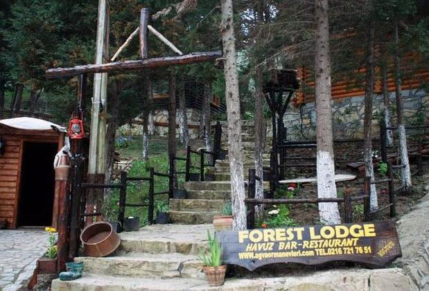 Ağva Orman Evleri - Forest Lodge - Görsel 3