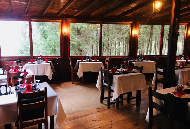 Ağva Orman Evleri - Forest Lodge - Görsel 8